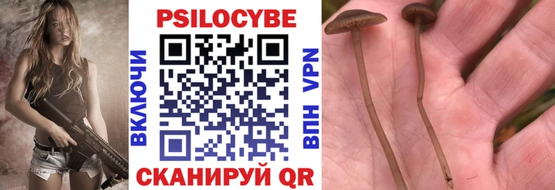 Купить где  Лесозаводск  Галлюциногенные грибы MAGIC MUSHROOMS 